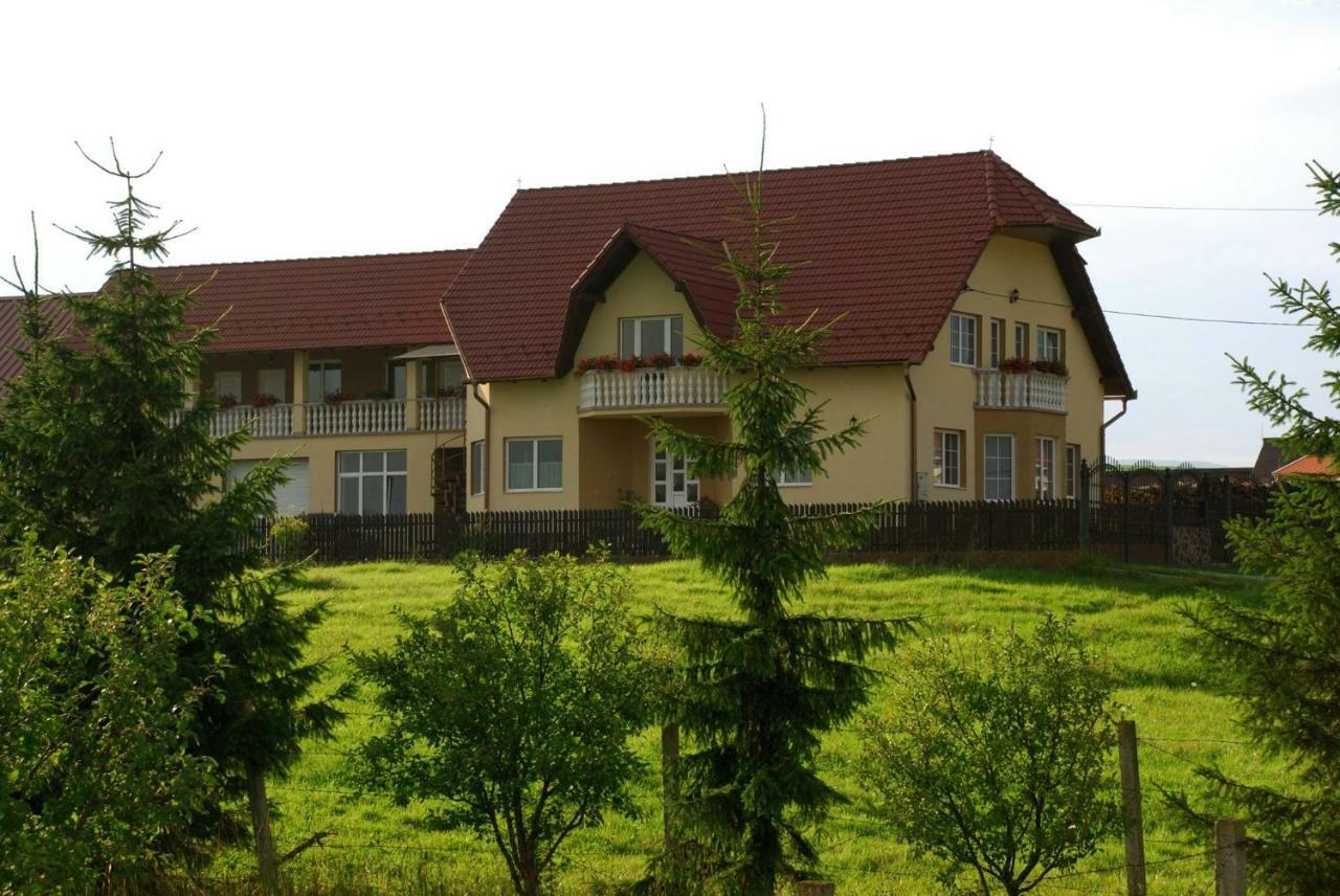 Margareta Vendeghaz Hotel Lupeni  Buitenkant foto