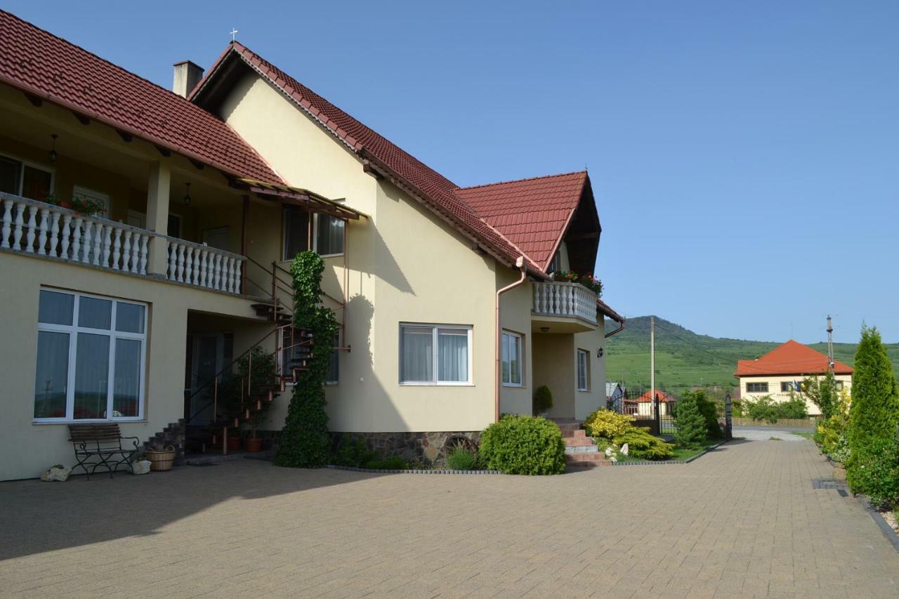Margareta Vendeghaz Hotel Lupeni  Buitenkant foto